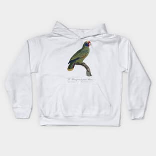 Red-Tailed Amazon Parrot / Le Perroquet a Joues Bleues - 19th century Jacques Barraband Illustration Kids Hoodie